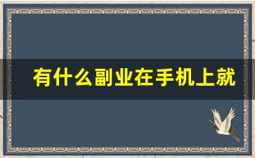 有什么副业在手机上就能做的_在家做的手工活正规平台 拿回家